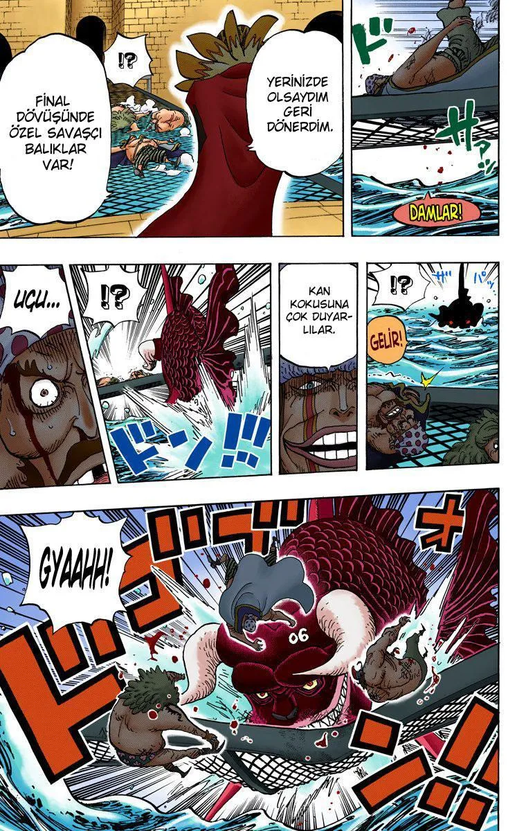 One Piece [Renkli] - Sayfa 7