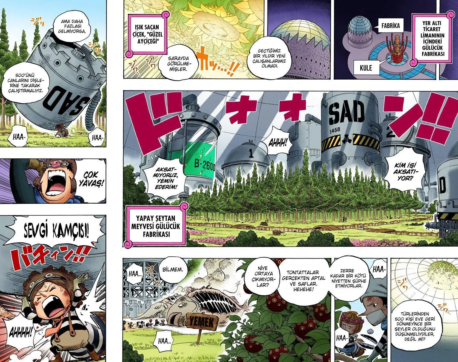 One Piece [Renkli] - Sayfa 5