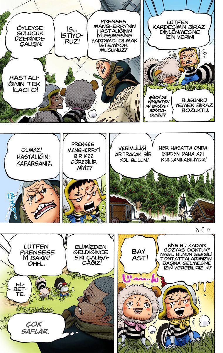 One Piece [Renkli] mangasının 738 bölümünün 7. sayfasını okuyorsunuz.