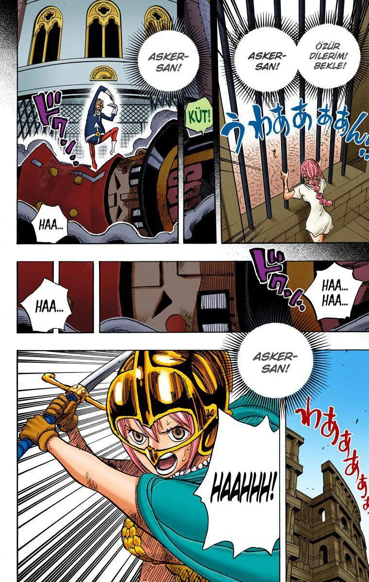 One Piece [Renkli] - Sayfa 13