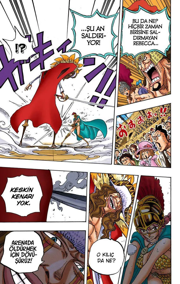 One Piece [Renkli] - Sayfa 14