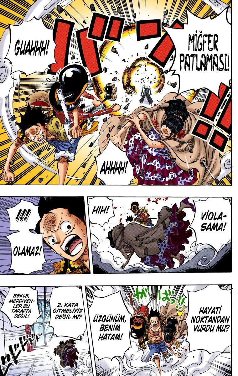 One Piece [Renkli] - Sayfa 12