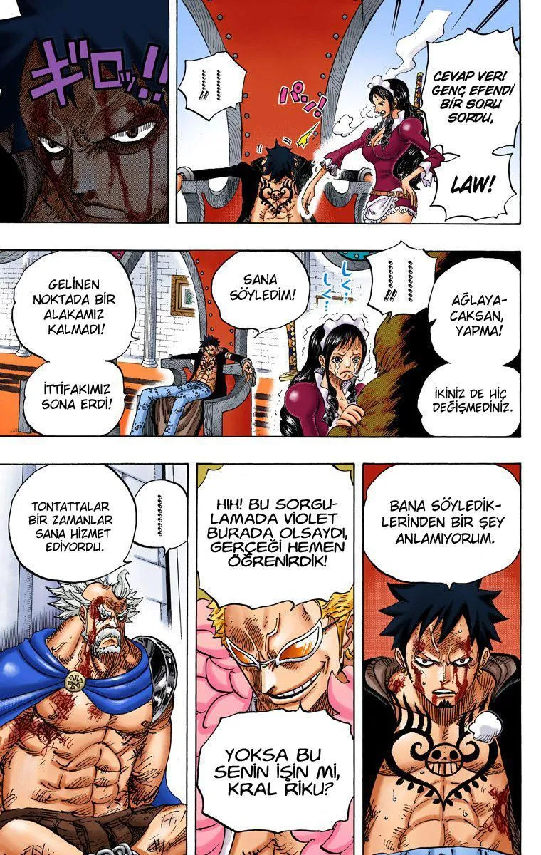 One Piece [Renkli] - Sayfa 16