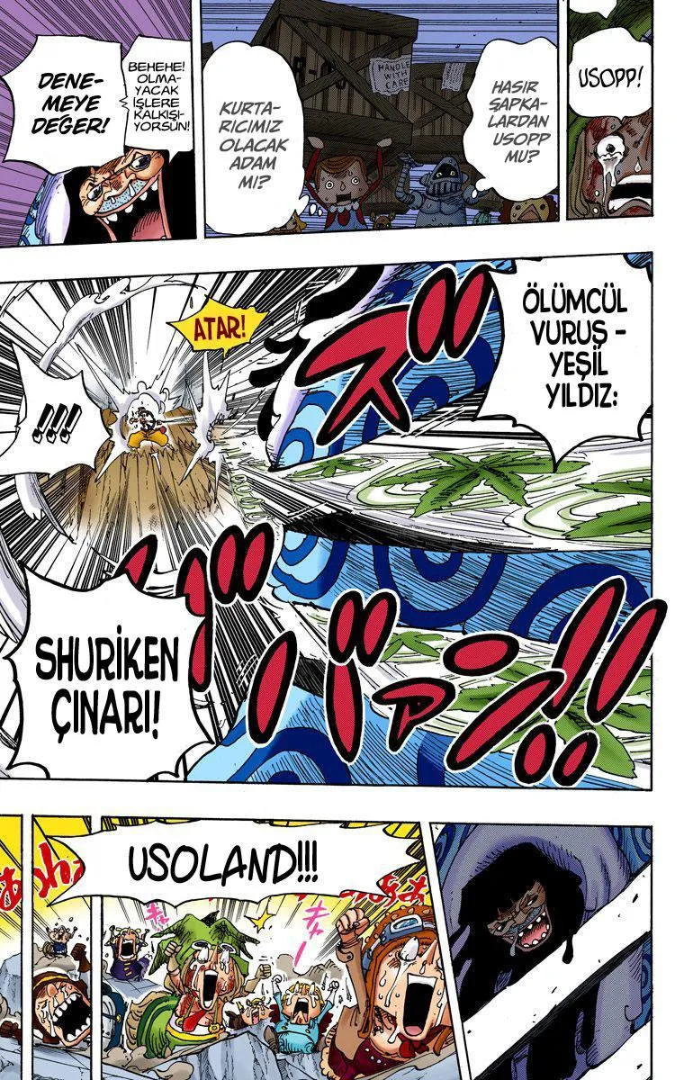 One Piece [Renkli] - Sayfa 13