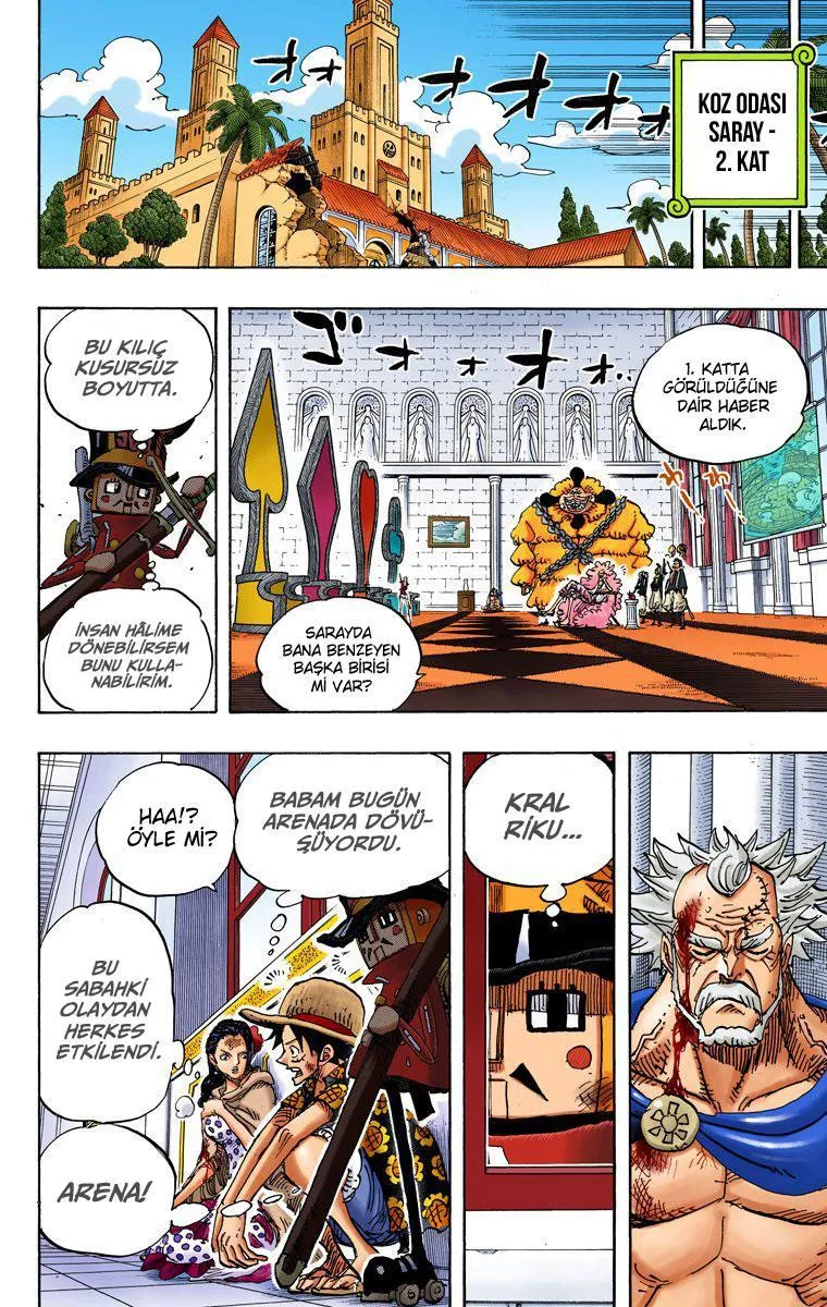 One Piece [Renkli] - Sayfa 14