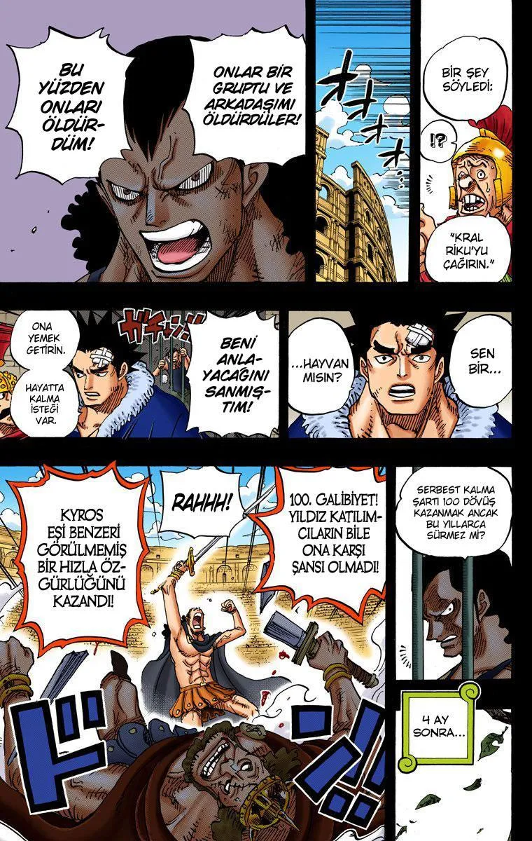 One Piece [Renkli] - Sayfa 17