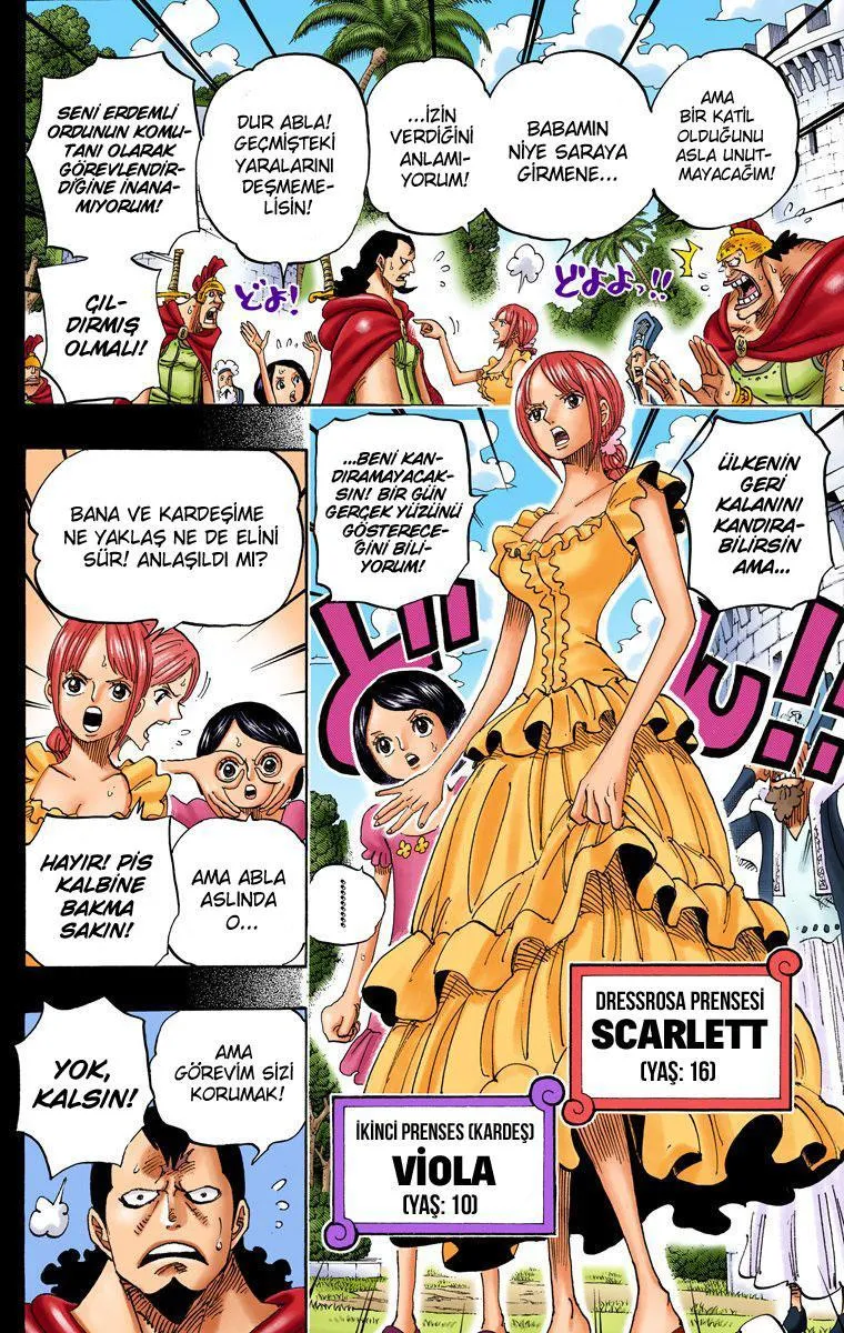 One Piece [Renkli] - Sayfa 5