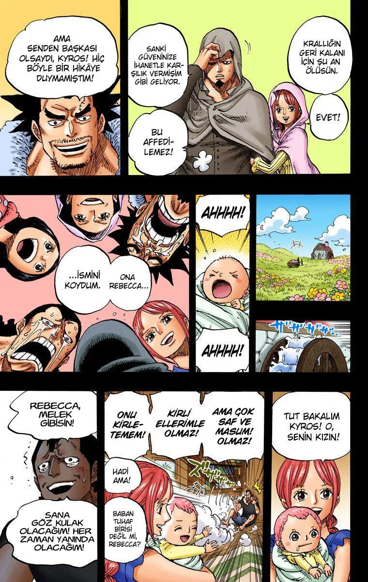 One Piece [Renkli] - Sayfa 8