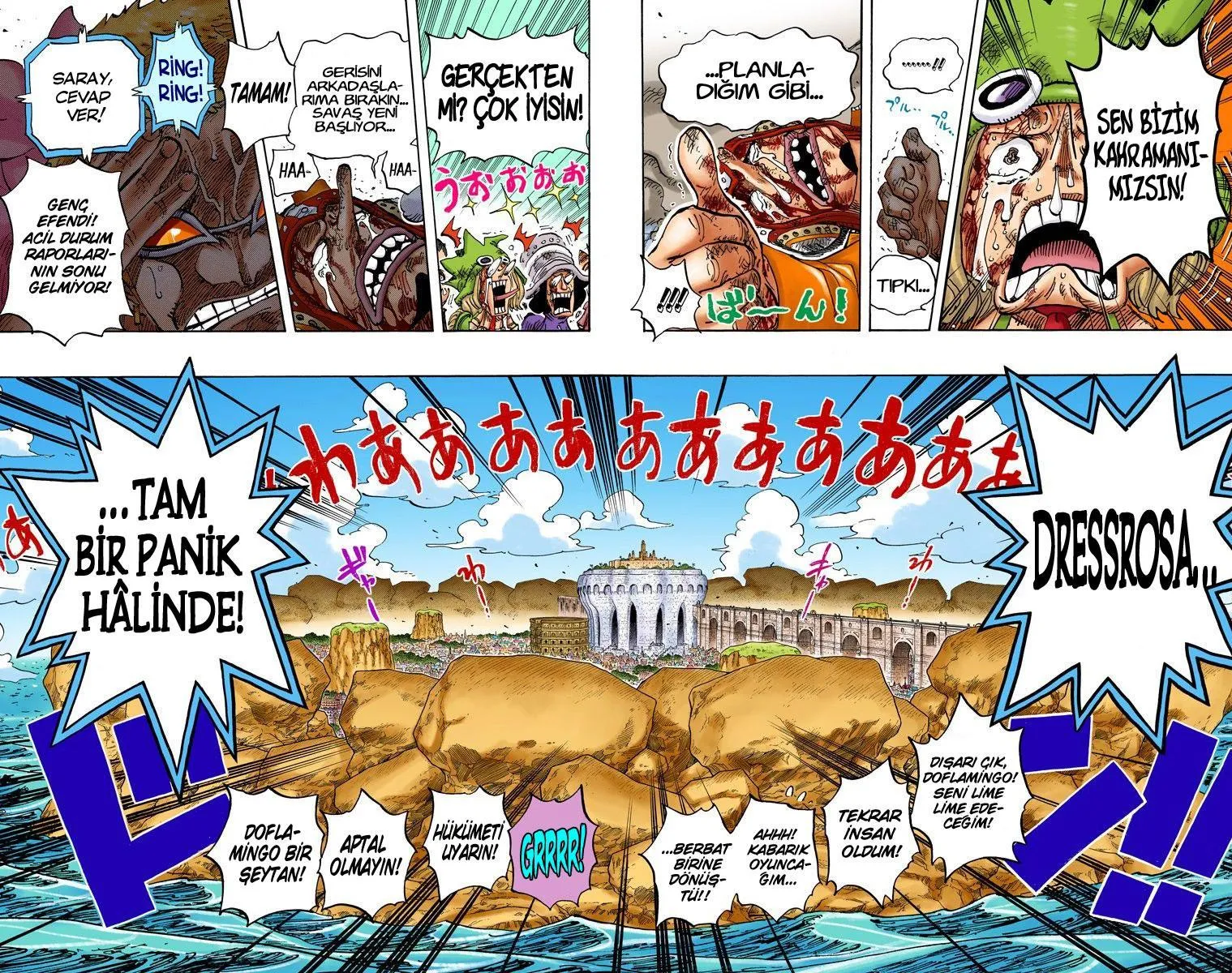 One Piece [Renkli] - Sayfa 11
