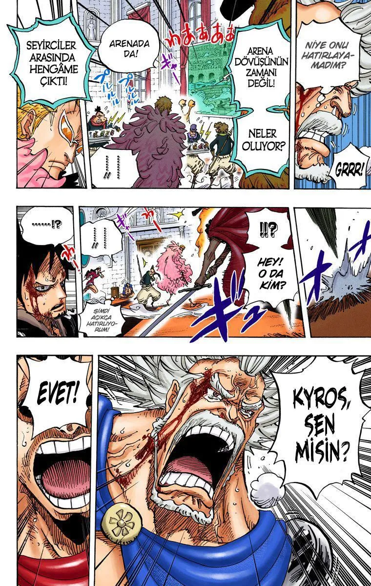 One Piece [Renkli] - Sayfa 14