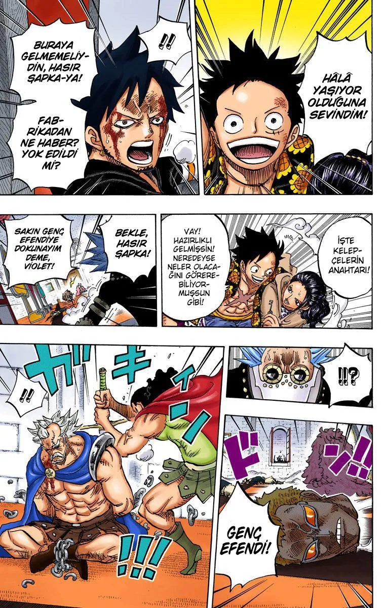 One Piece [Renkli] - Sayfa 17