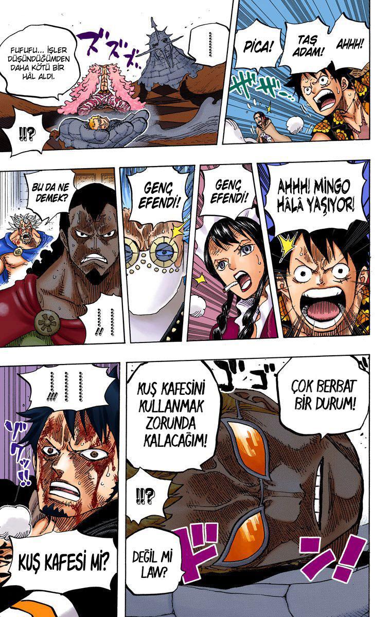 One Piece [Renkli] mangasının 744 bölümünün 19. sayfasını okuyorsunuz.