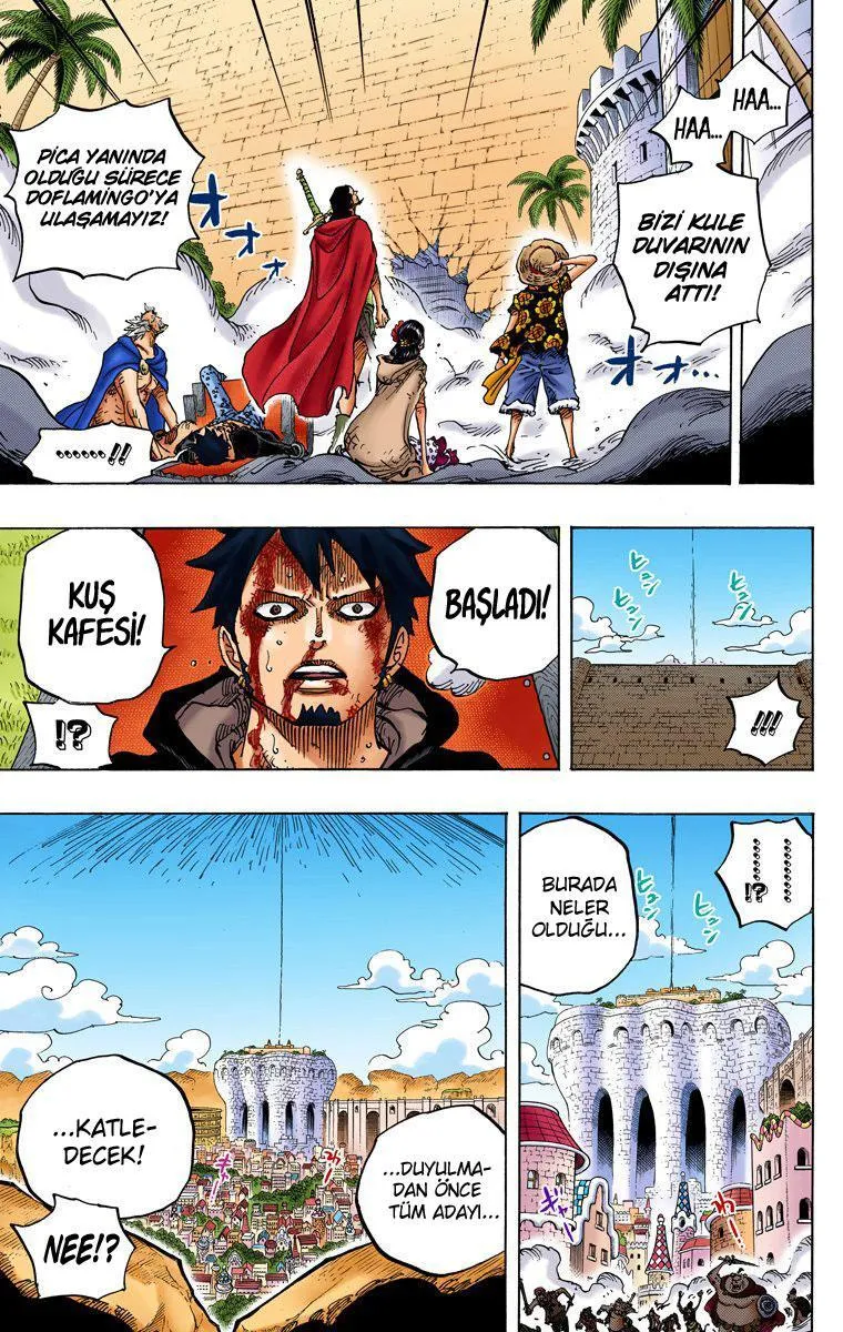 One Piece [Renkli] - Sayfa 13