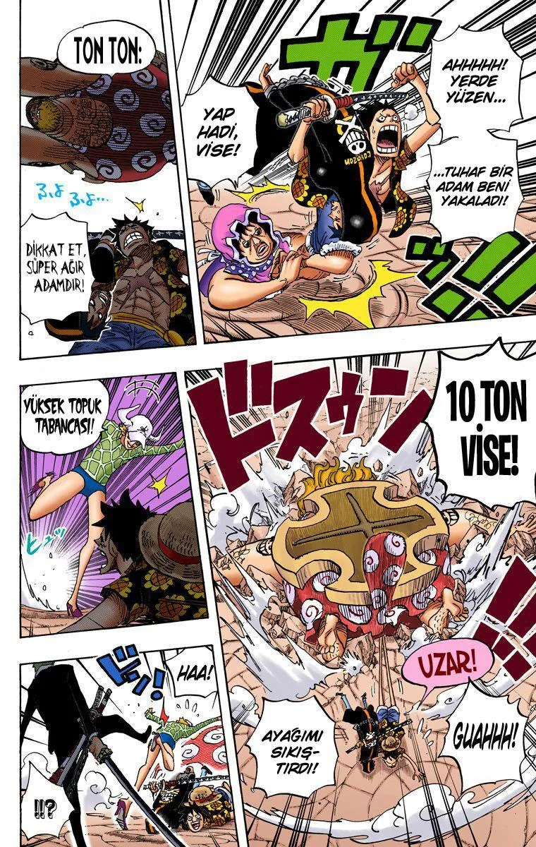 One Piece [Renkli] - Sayfa 14