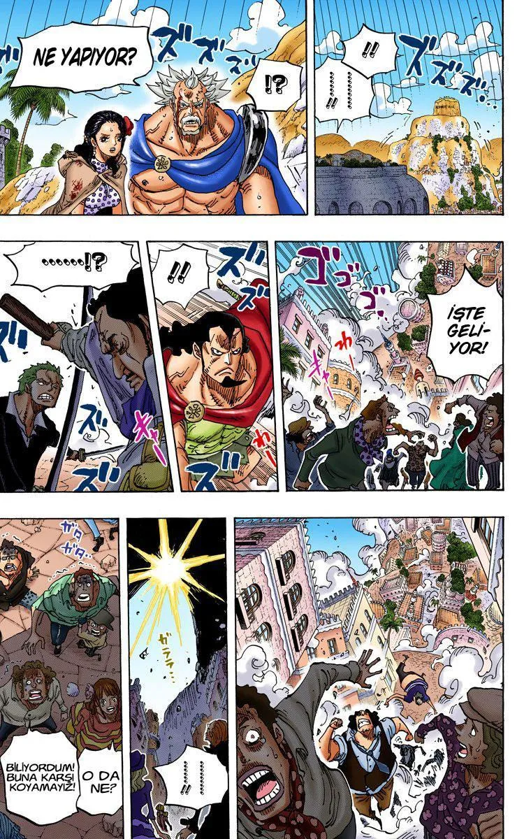 One Piece [Renkli] - Sayfa 17