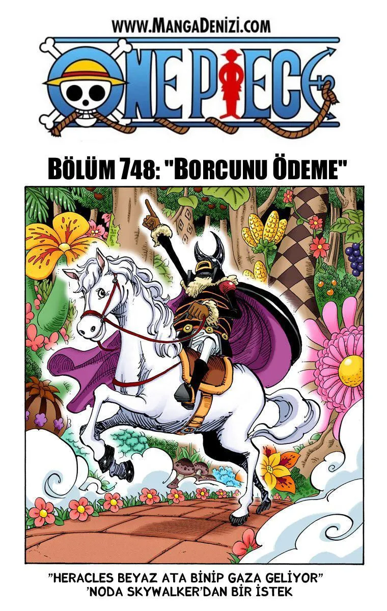 One Piece [Renkli] - Sayfa 2