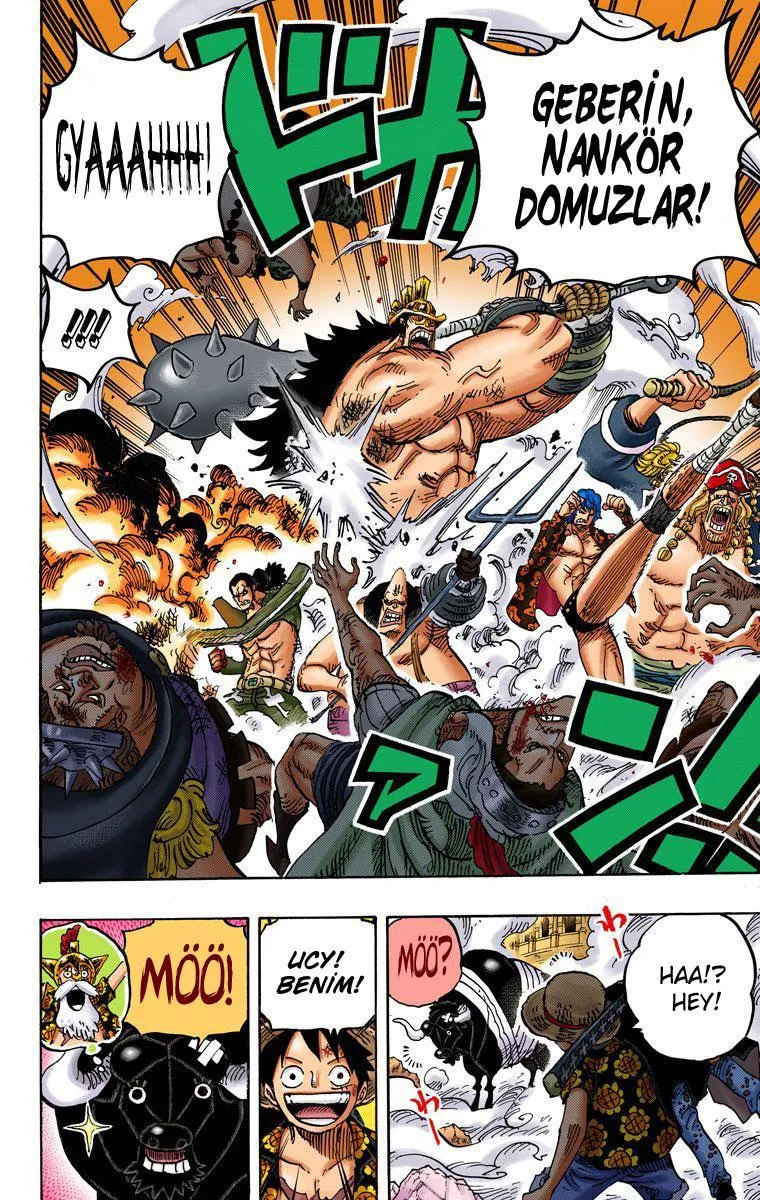 One Piece [Renkli] - Sayfa 12