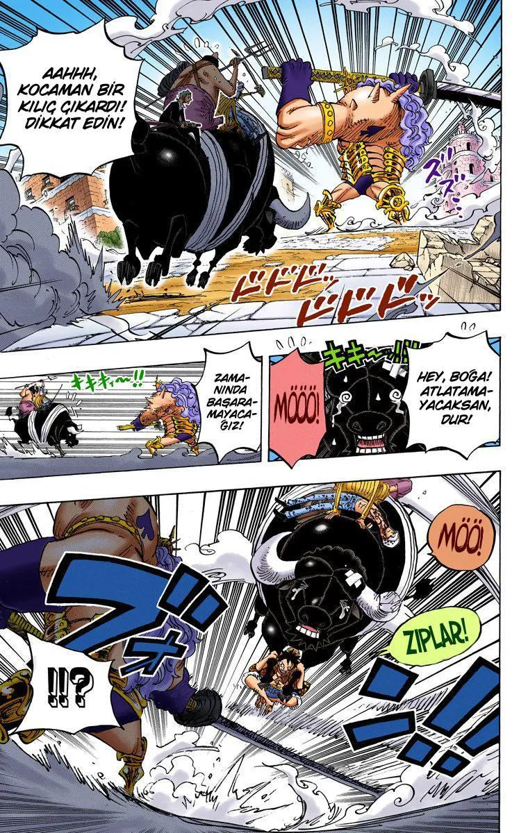 One Piece [Renkli] - Sayfa 11