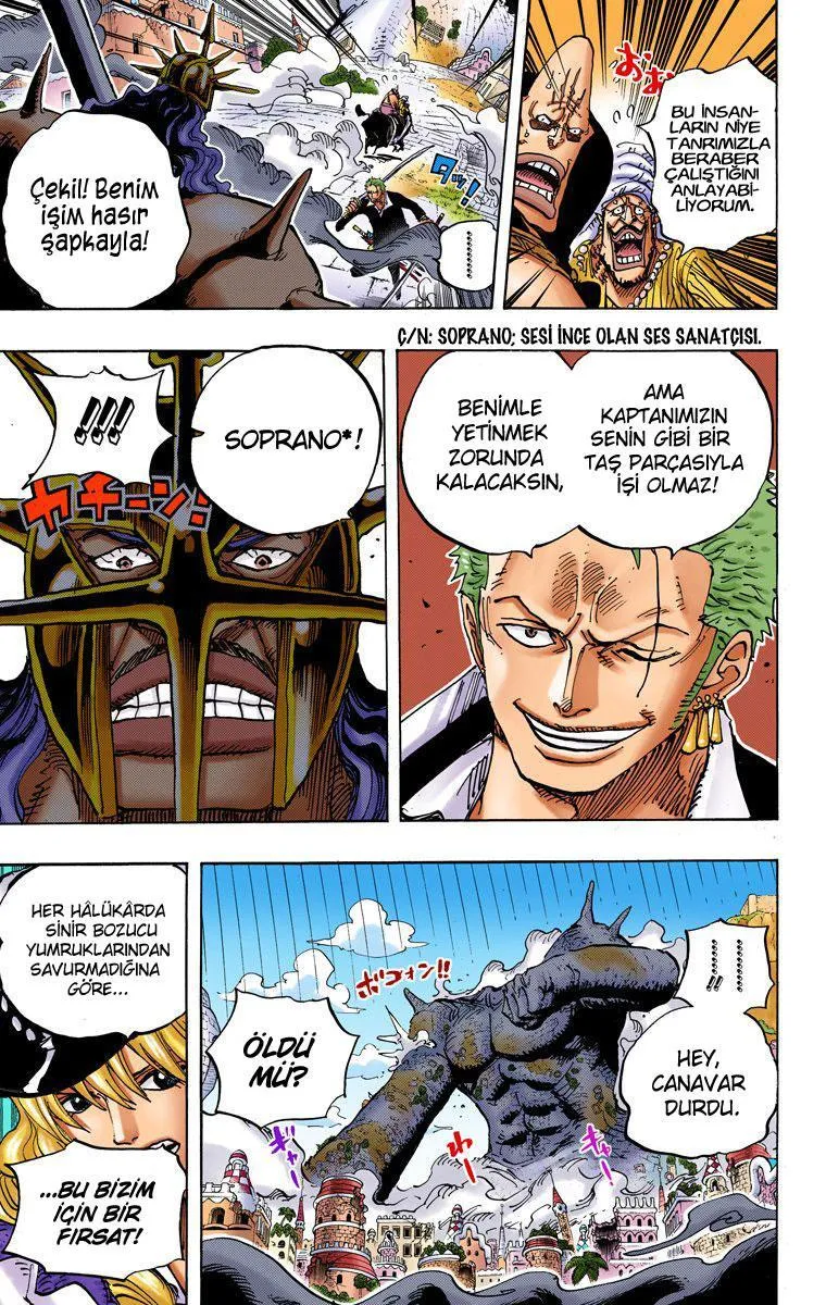 One Piece [Renkli] - Sayfa 13