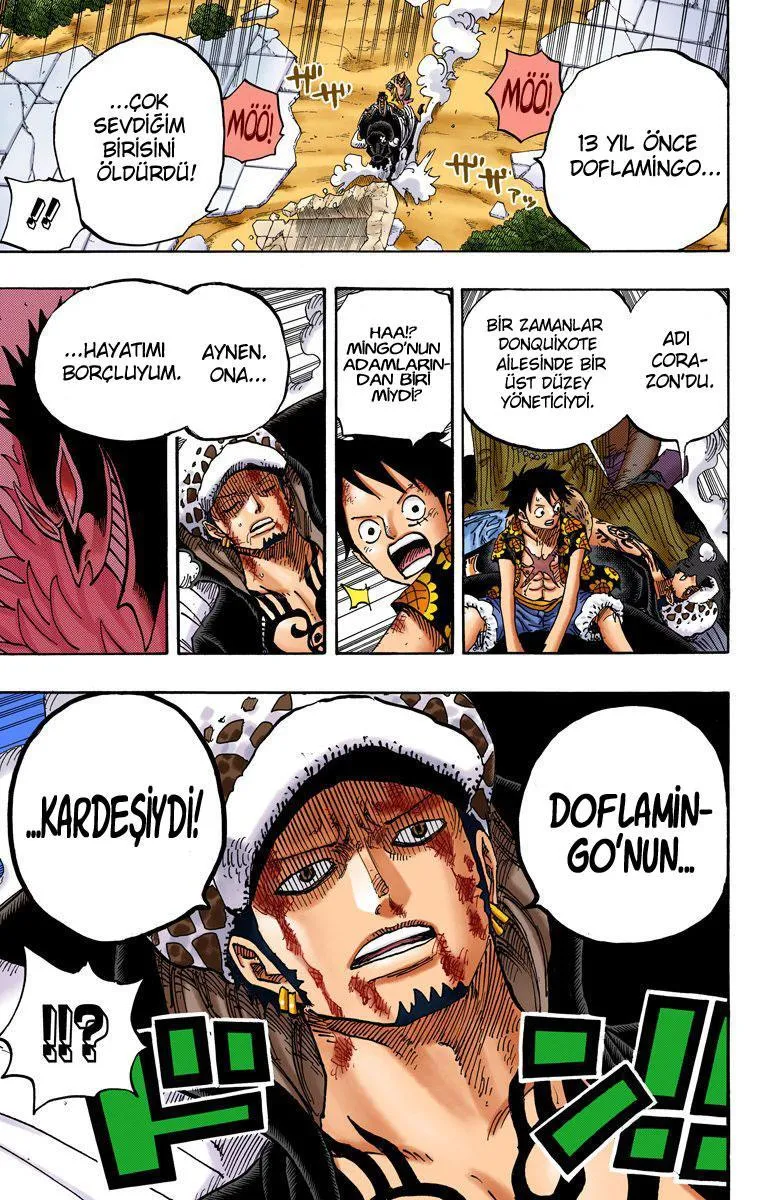 One Piece [Renkli] - Sayfa 15