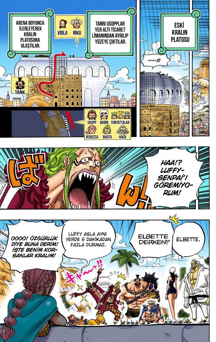 One Piece [Renkli] - Sayfa 6