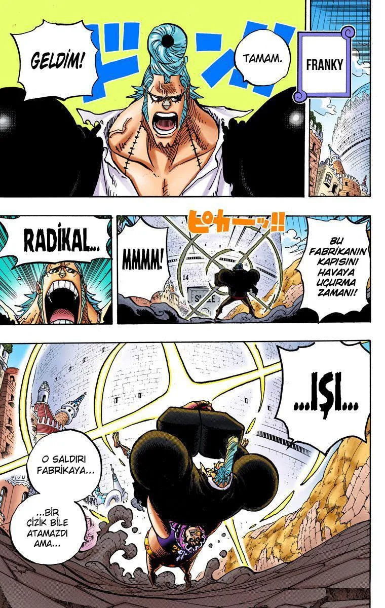 One Piece [Renkli] - Sayfa 12