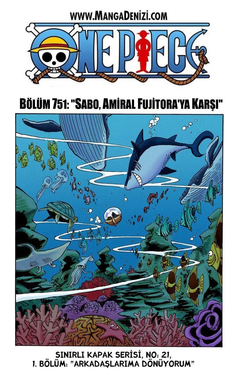 One Piece [Renkli] - Sayfa 2