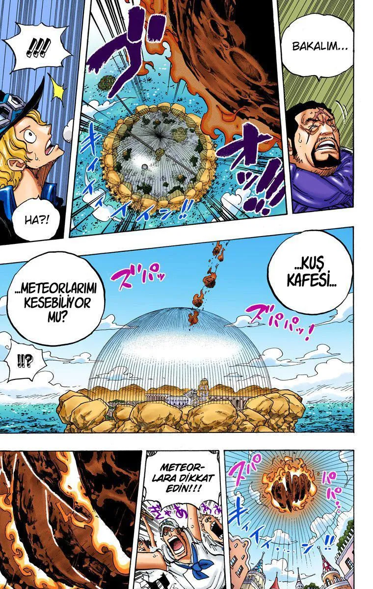 One Piece [Renkli] - Sayfa 6