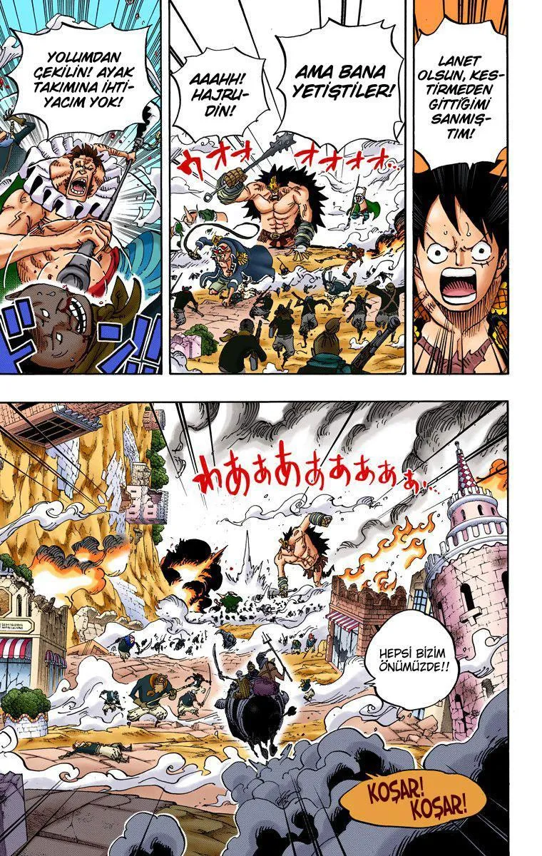 One Piece [Renkli] - Sayfa 10