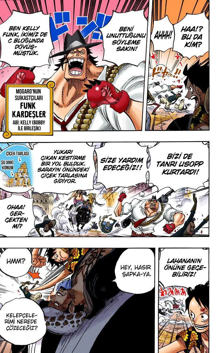 One Piece [Renkli] - Sayfa 12