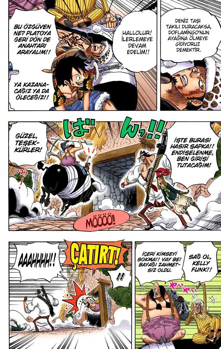 One Piece [Renkli] - Sayfa 13