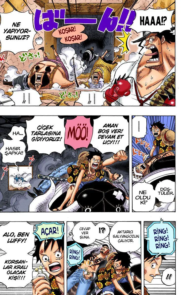 One Piece [Renkli] - Sayfa 14