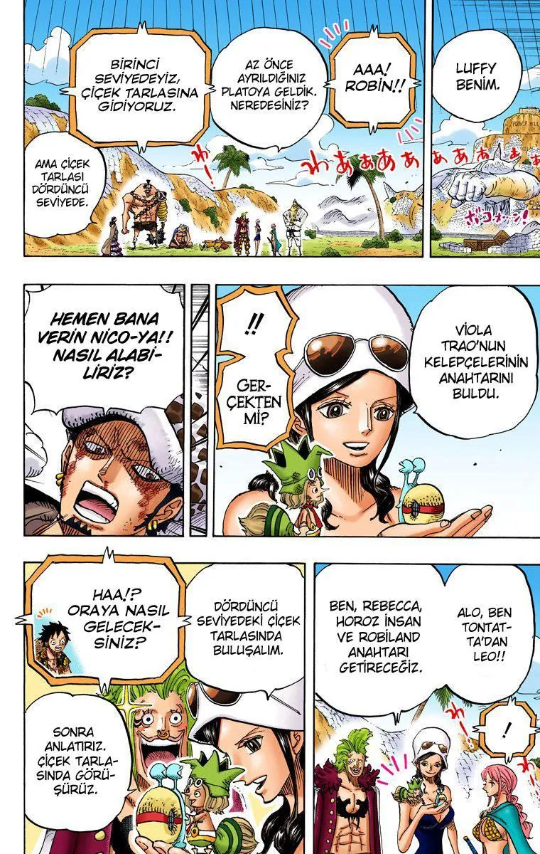 One Piece [Renkli] - Sayfa 15
