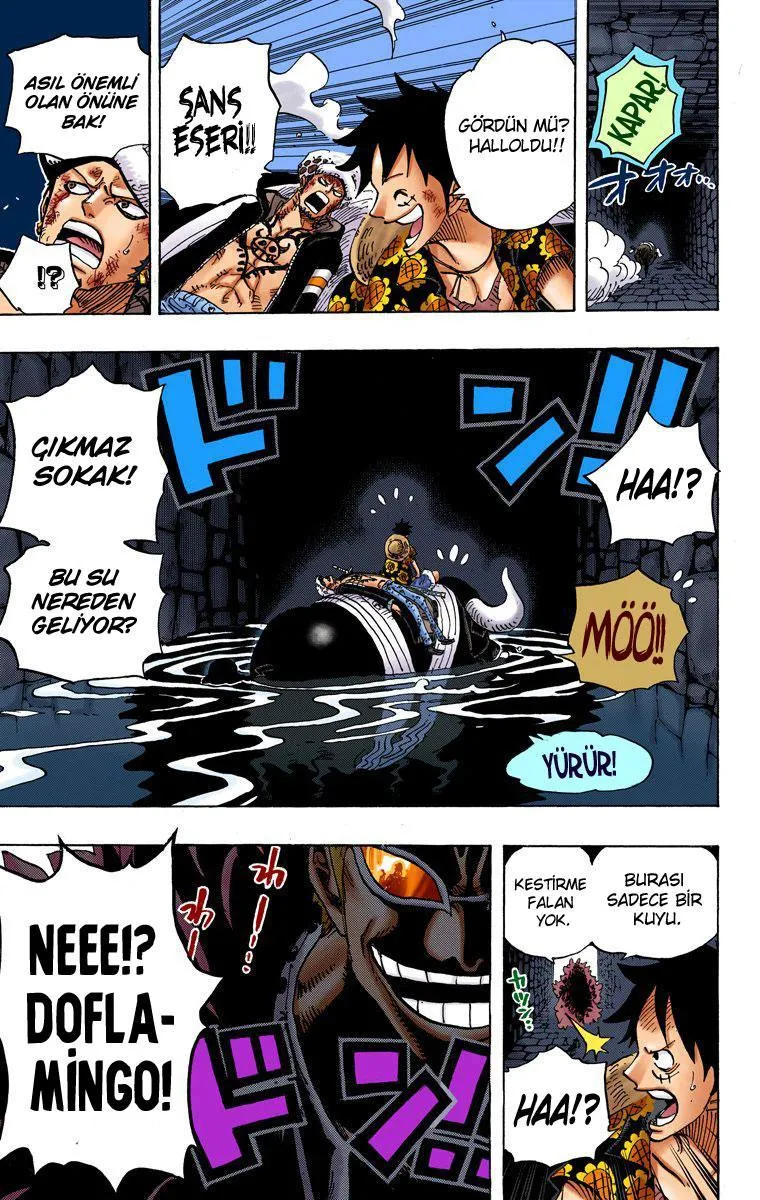 One Piece [Renkli] - Sayfa 16