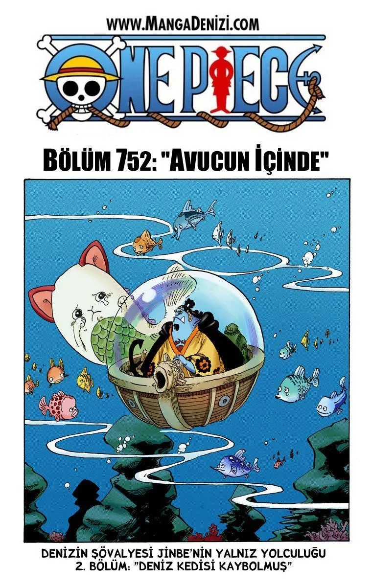 One Piece [Renkli] - Sayfa 2