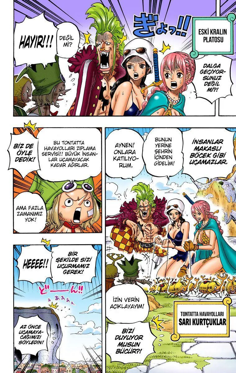 One Piece [Renkli] - Sayfa 12