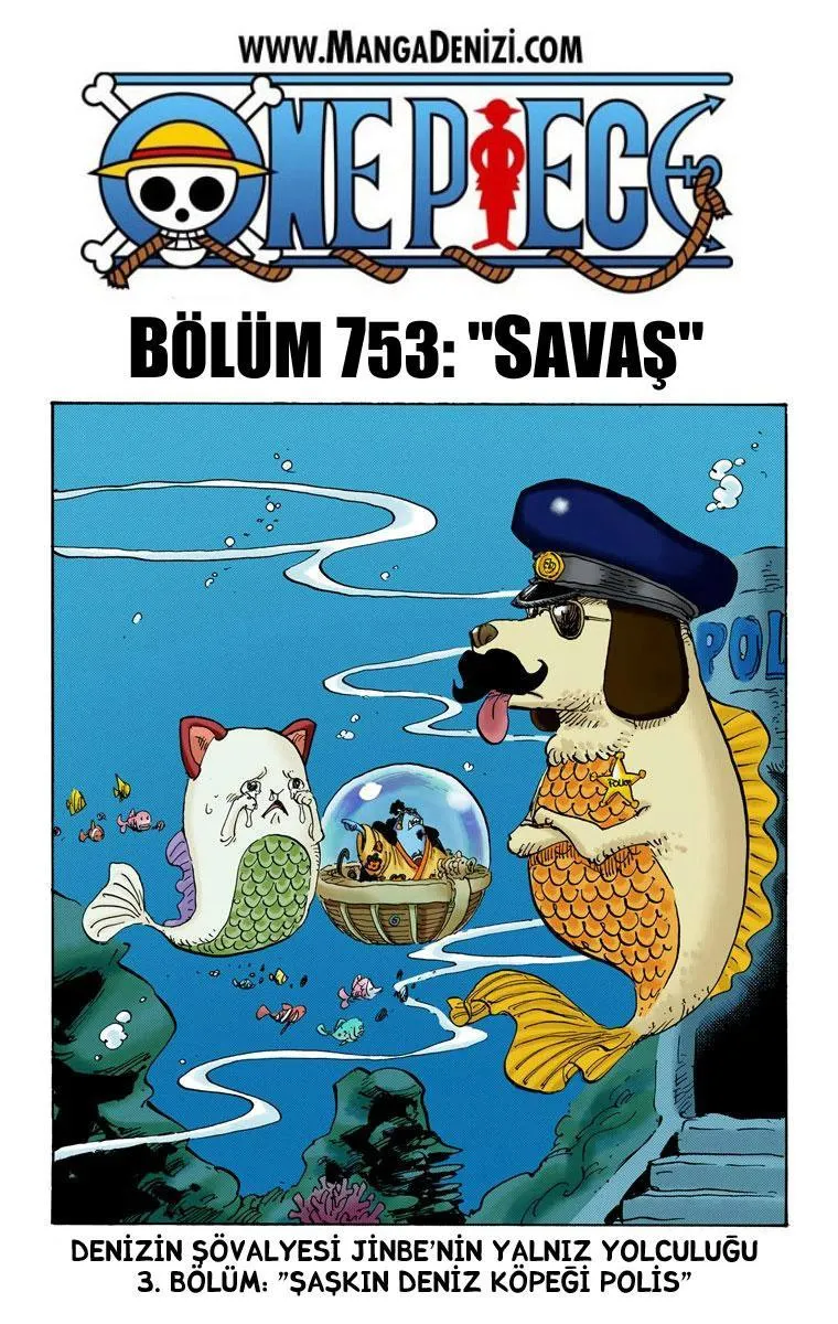 One Piece [Renkli] - Sayfa 2