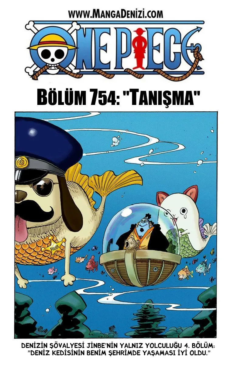 One Piece [Renkli] - Sayfa 2