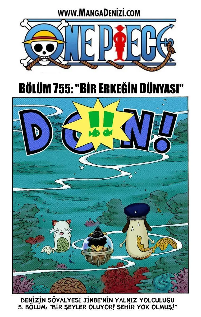 One Piece [Renkli] - Sayfa 2