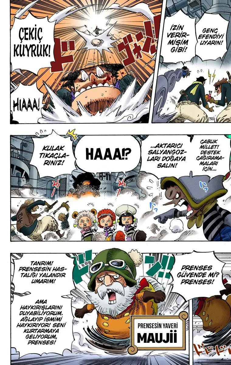 One Piece [Renkli] - Sayfa 5