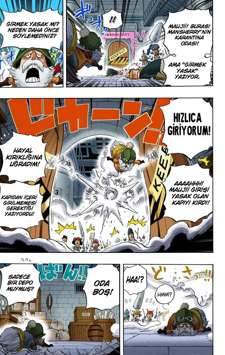 One Piece [Renkli] - Sayfa 6