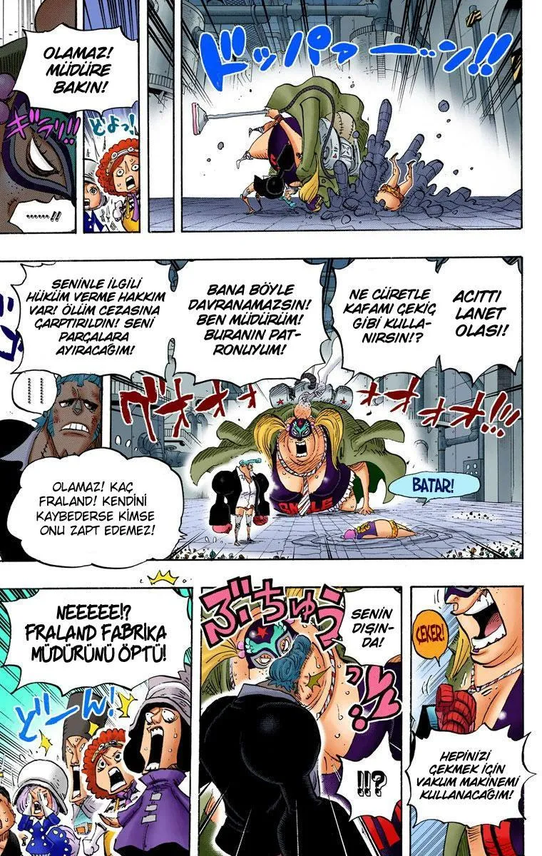 One Piece [Renkli] - Sayfa 12
