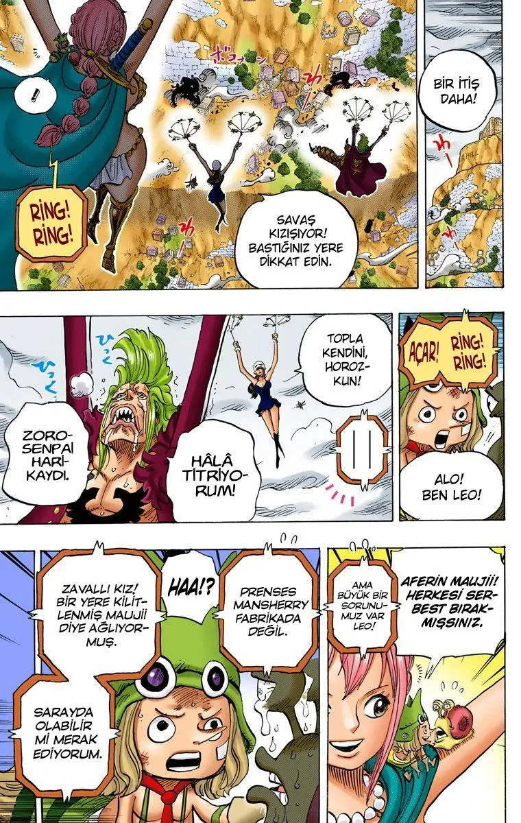 One Piece [Renkli] - Sayfa 16