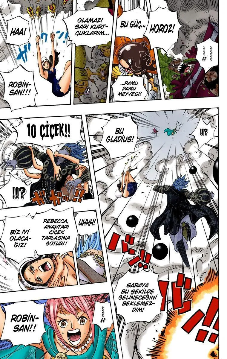 One Piece [Renkli] - Sayfa 9