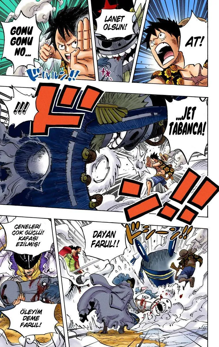 One Piece [Renkli] - Sayfa 13