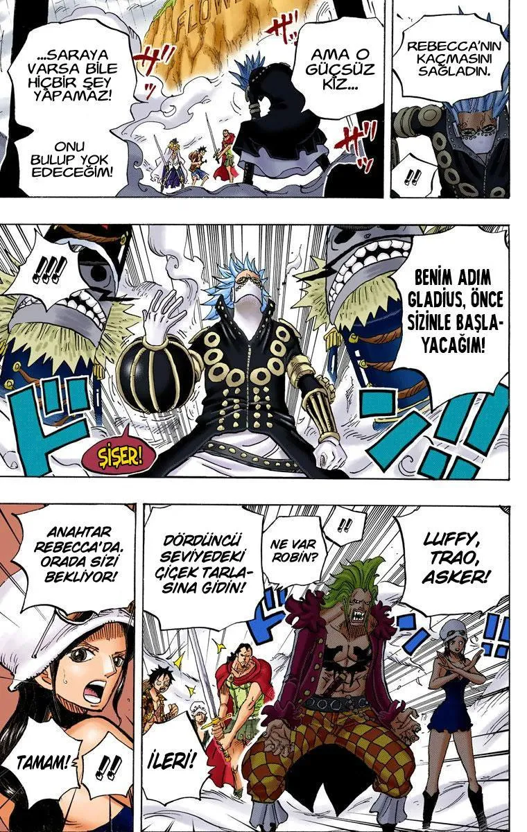 One Piece [Renkli] - Sayfa 17