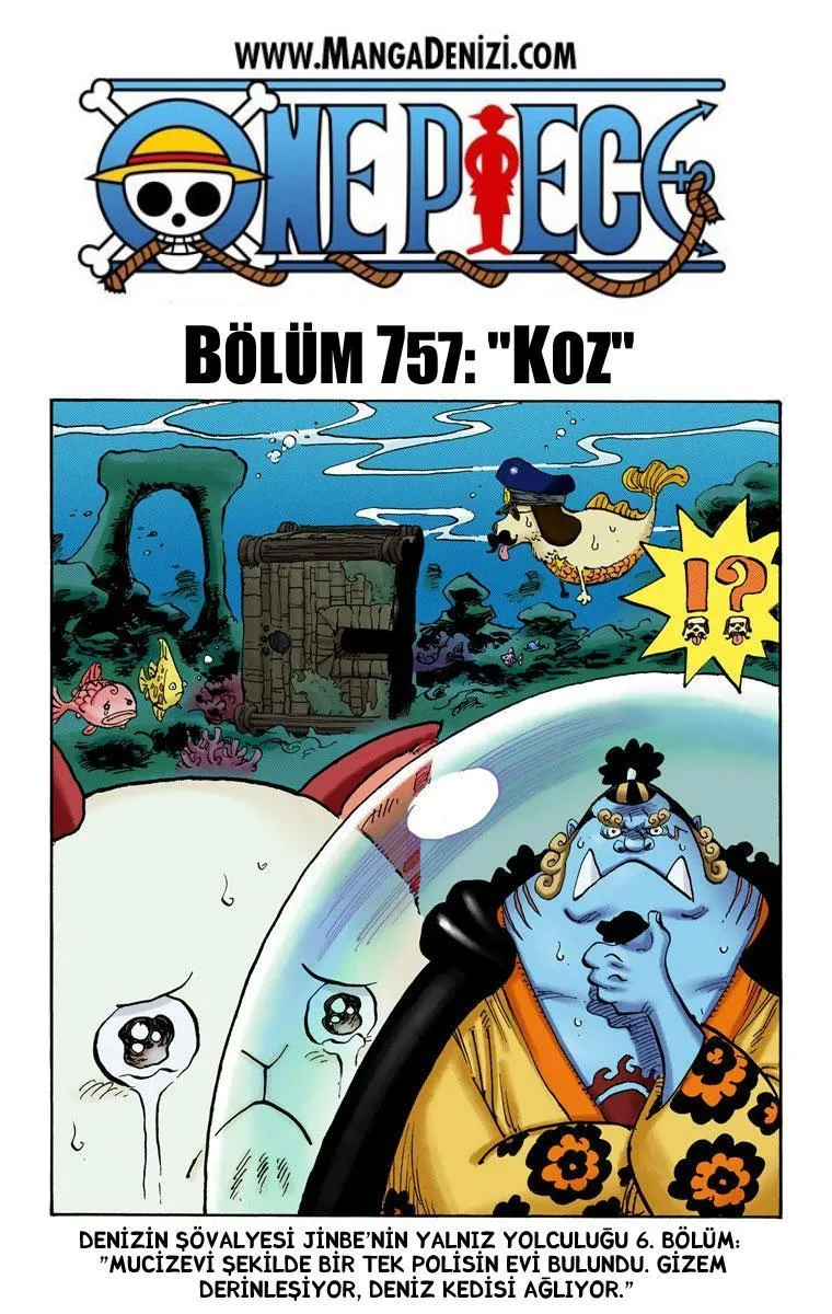 One Piece [Renkli] - Sayfa 2