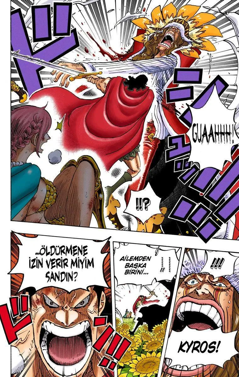 One Piece [Renkli] - Sayfa 14