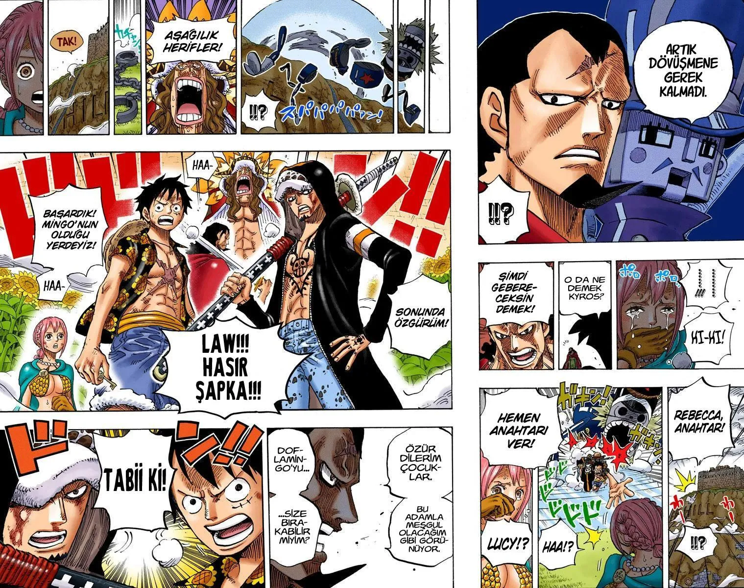 One Piece [Renkli] - Sayfa 16