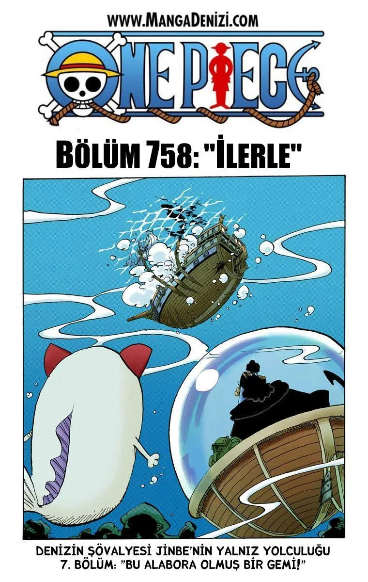 One Piece [Renkli] - Sayfa 2